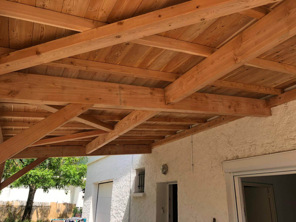 structure-bois-charpente-meleze-albigny-sur-saone-terrasse