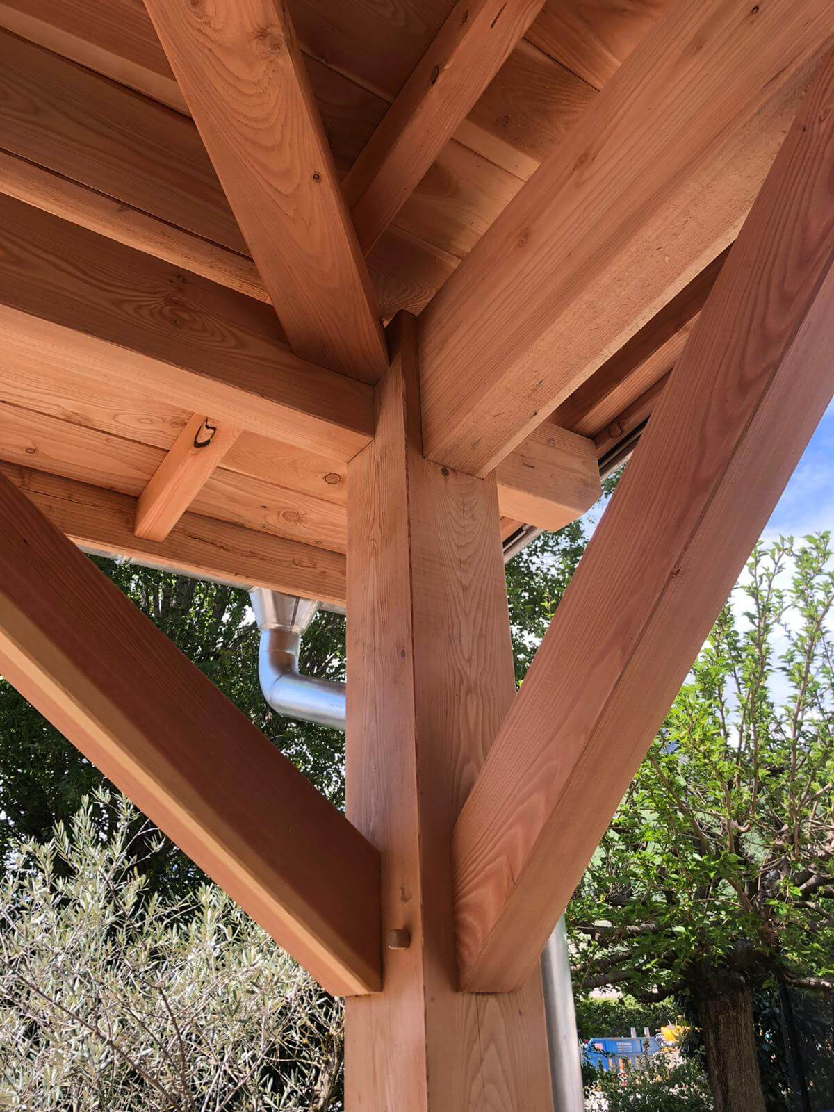 pergola-meleze-auvent-lyon-mont-d-or-saint-didier-au-mont-dor