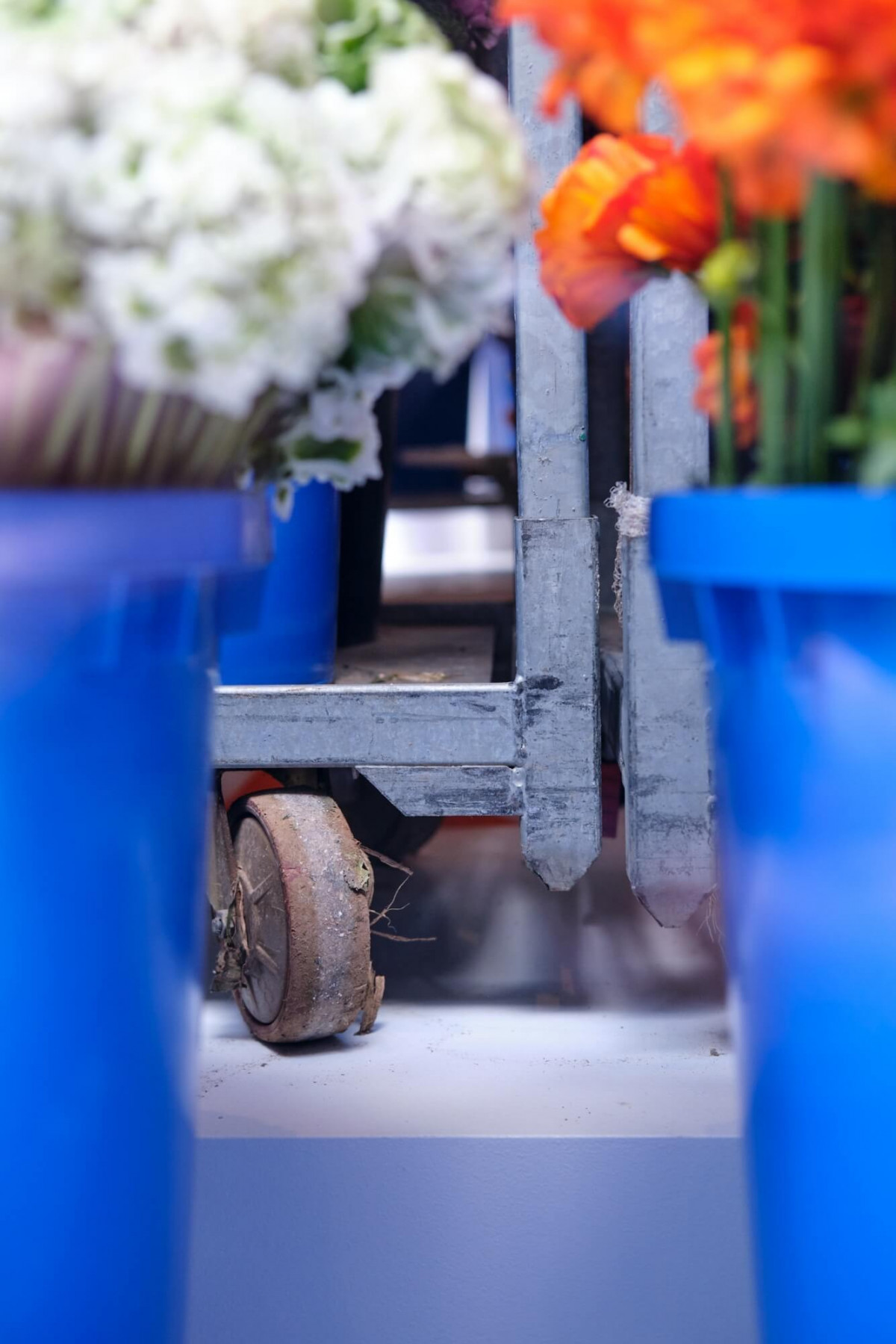 paf-jacquemus-vitrines-luc-bertrand-34