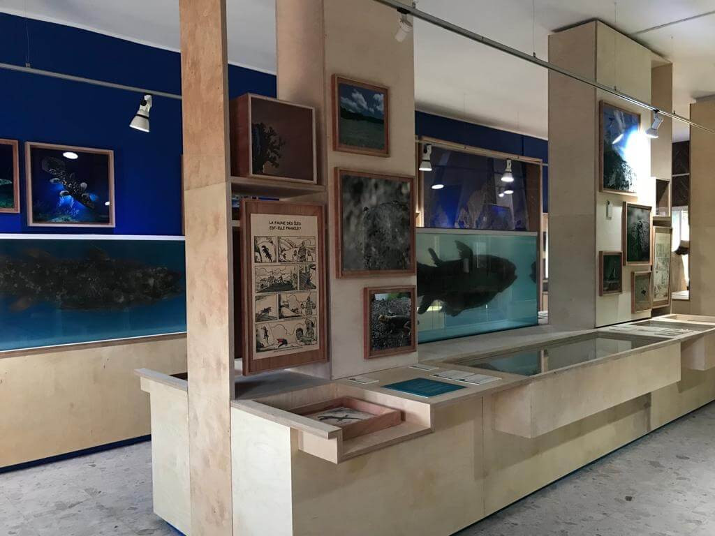 2cb48eb3-d66e-4732-bd95-fb37d6454cc2