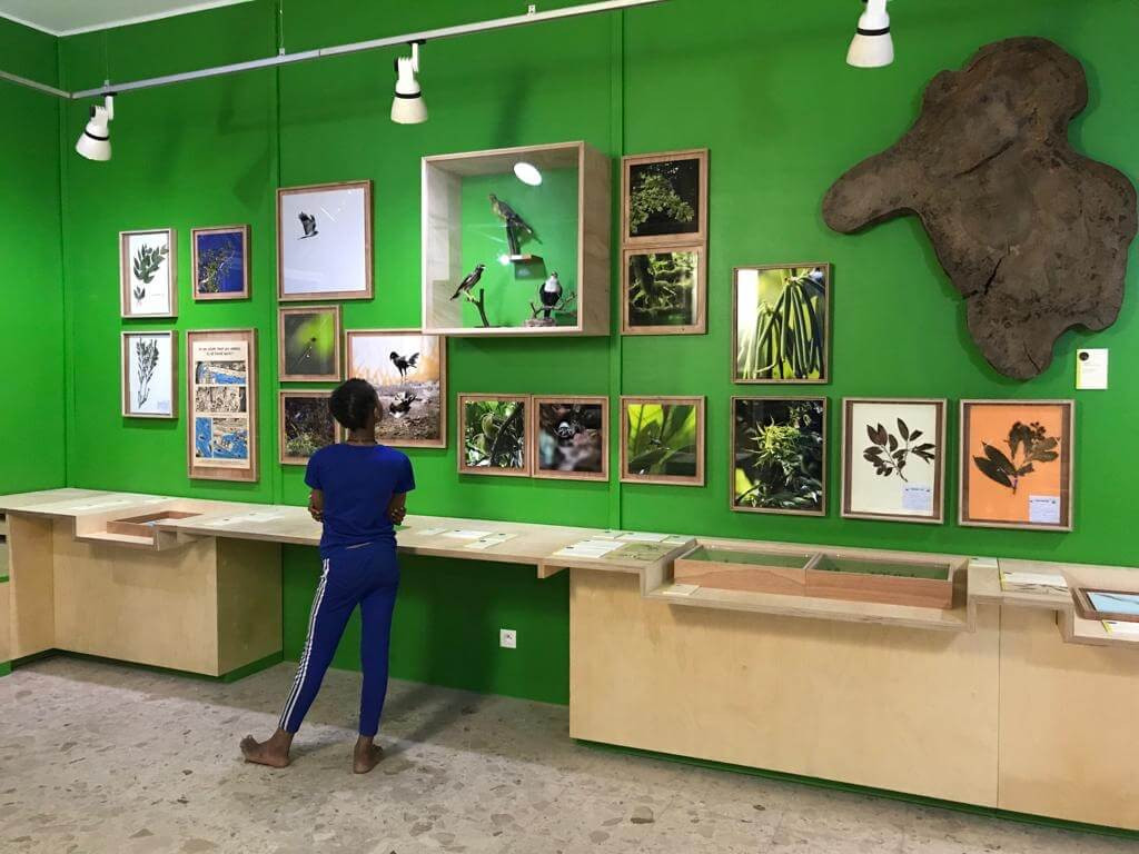 0951243e-466a-42f9-b7e0-919f2f0ed35a