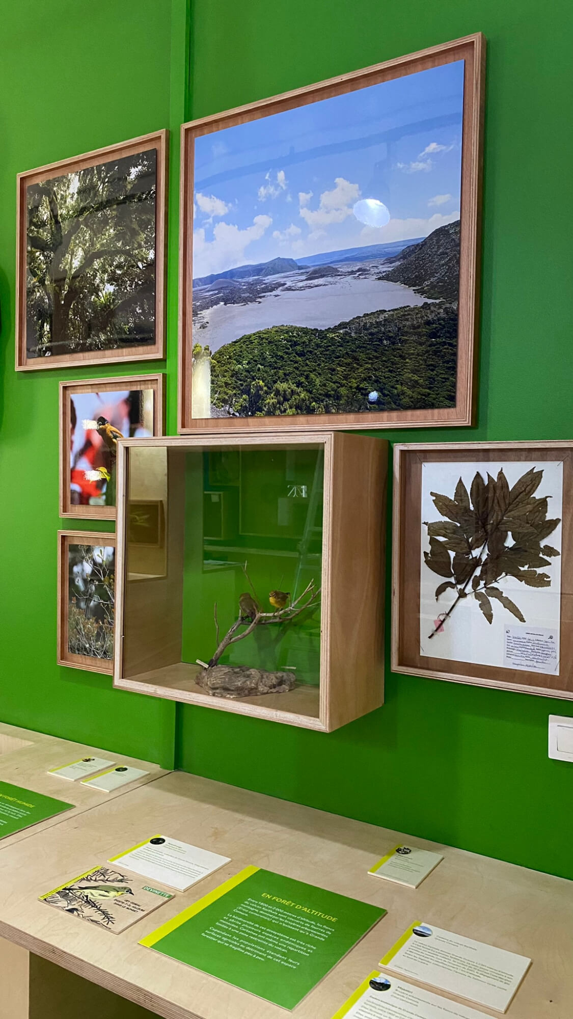 3392d484-a041-4e70-af57-12649d3cb8e2