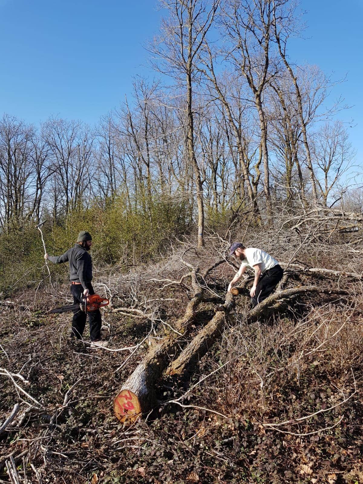 photo-2021-02-22-10-43-47-4